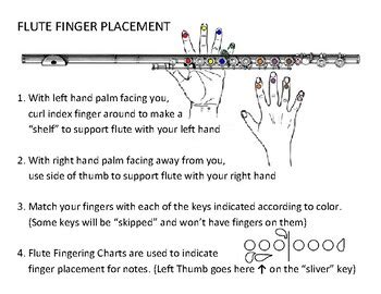 Beginner Flute Finger Placement Diagram by BJ's Music Resources | TPT