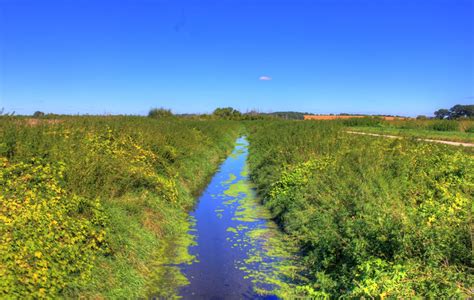 Small Creek on the Glacial Drumlin State Trail, Wisconsin image - Free stock photo - Public ...