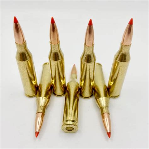 .243 Winchester, 87 grain VMAX (Hornady), New Brass, 100 rounds-Hunting Ammunition-100% Made in ...