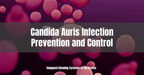 Candida Auris Infection Prevention and Control - Springdale, Tulsa, Fort Smith | Vanguard ...