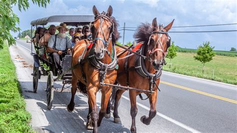 Visit This Top-Ranked Amish Town To Enjoy The Pleasures Of A Simpler Life