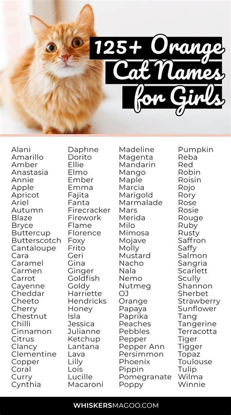 125+ Cute Orange Cat Names for Girl Cats - Whiskers Magoo | Girl cat names, Kitten names girl ...