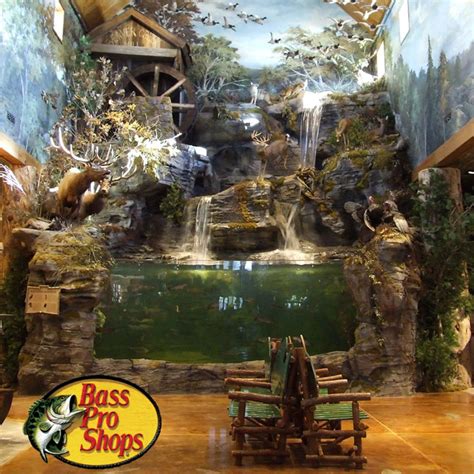 Bass Pro Shops – Aquarium and Fish Feeding | Patriot Place