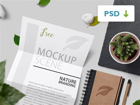 Free Nature Branding Mockup Scene – FreeMockup.net