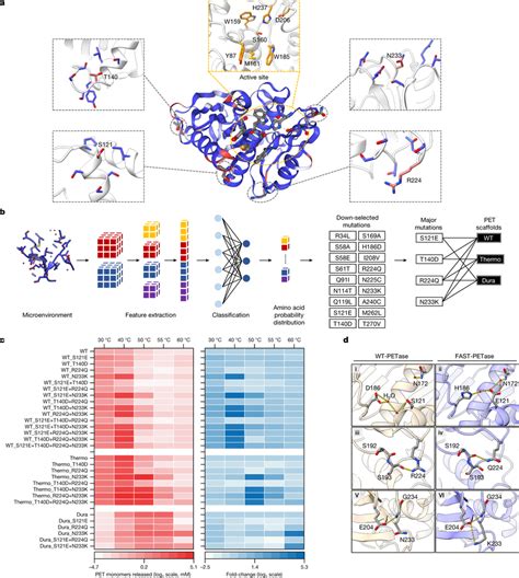 Machine learning guided predictions improve enzyme performance across... | Download Scientific ...