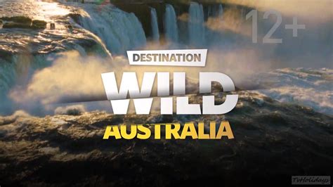 Nat Geo Wild HD Adverts and Idents June 2014 hd1080 - YouTube