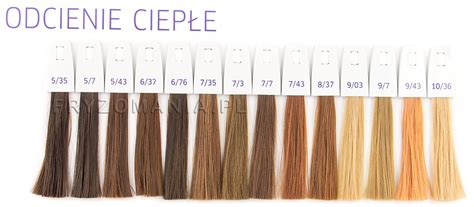 Wella Illumina Color Chart 6/16 – Warehouse of Ideas