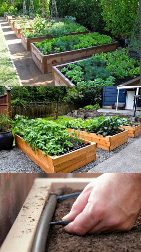 How To Start A Raised Bed Vegetable Garden - Garden Design Ideas