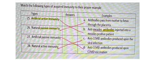 SOLVED: 9 Classify each example as active Or passive immunity ...