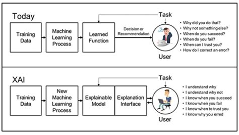 Explainable AI: What is it? How does it work? And what role does data play?