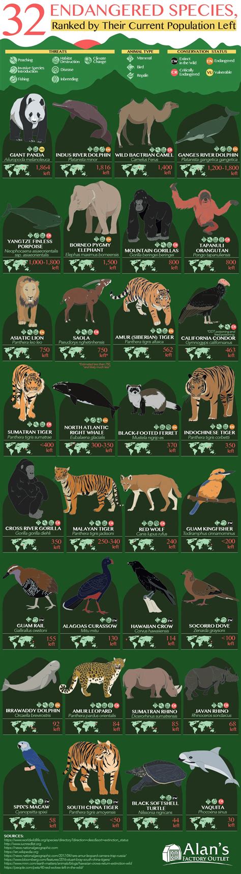 Infographic on 32 Endangered Species Ranked by Their Current Population Left by AlansFactoryOutlet