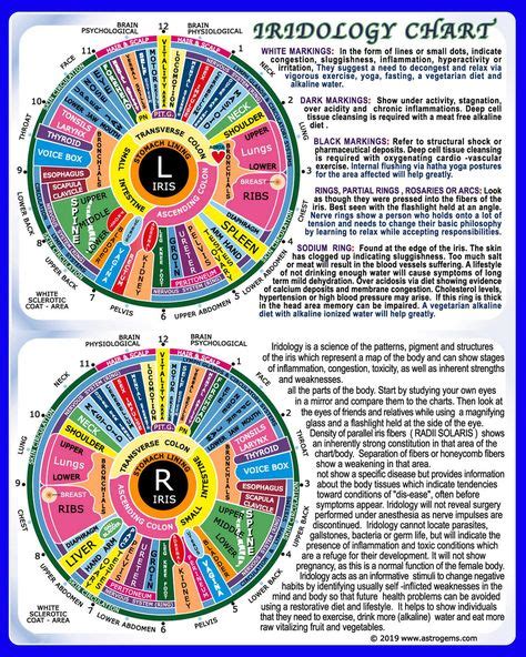 Pin on Iridology chart