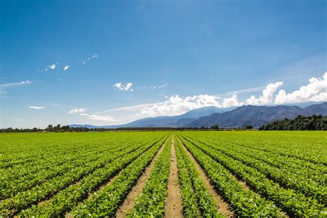 Can Organic Farming Reverse Climate Change? - WholeFoods Magazine