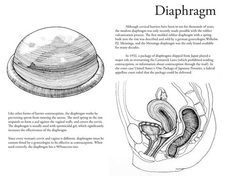 Diaphragm Diagram by p00p13-p13 on DeviantArt