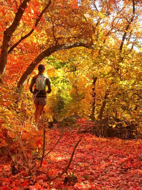 Autumn Running - Trail And Ultra RunningTrail And Ultra Running