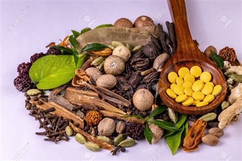 Ayurvedic Medicine Manufacturers in Tiruchirappalli