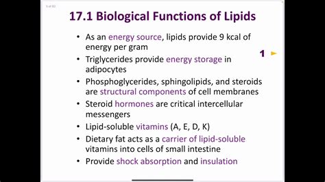 Exles Of Lipids And Their Functions - Infoupdate.org