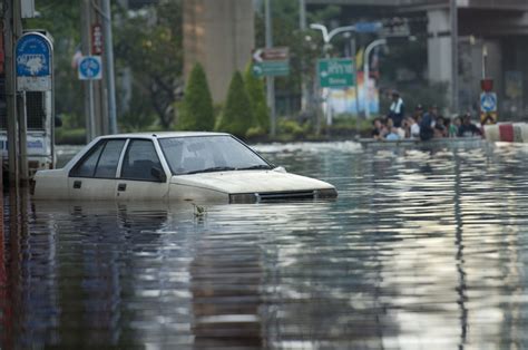 Devastating Effects of Car Pollution on the Environment - Help Save Nature