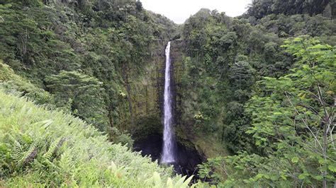 Hawaii Island, Akaka Falls HAWAII 4247441 Stock Video at Vecteezy