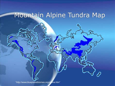 PPT - Mountain Alpine Tundra PowerPoint Presentation, free download - ID:677933