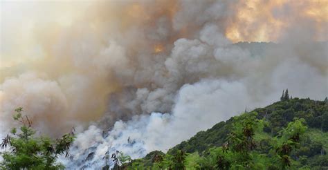 Wildfire Map Spotlight: Mililani Mauka Fire | IQAir