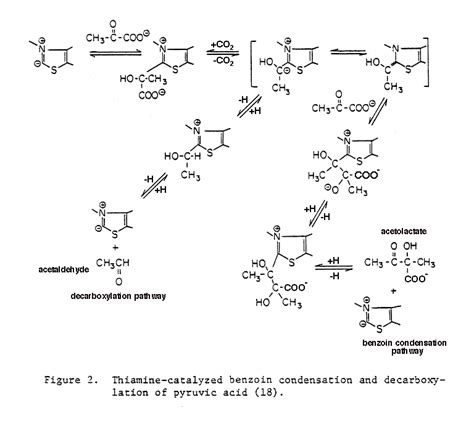 of Thiamine Pyrophosphate