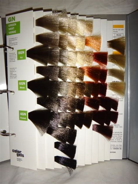 REDKEN Color Gels Permanent Conditioning Binder Hair Color Chart Swatch BOOK ! | Swatch