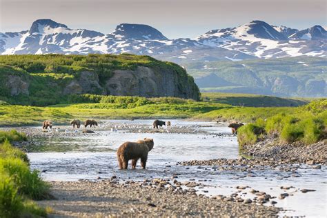 La guía de viaje para explorar Alaska - Easyviajar