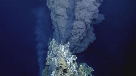 Deep-sea fish use hydrothermal vents to incubate eggs – DSM Observer