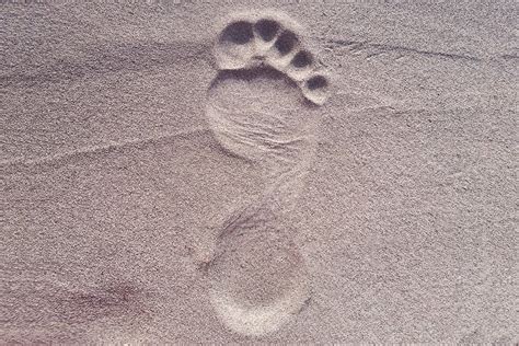 Free Images : sand, footprint, black and white, paw, leg, foot, hand ...