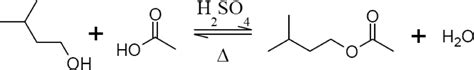 Solved Draw out a reaction mechanism between isopentyl | Chegg.com