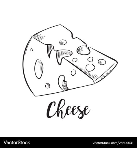 Cheese line art handdrawn Royalty Free Vector Image