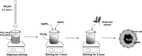 Schematic representation of the synthesis of Fe3O4@Ag NPs: Firstly ...