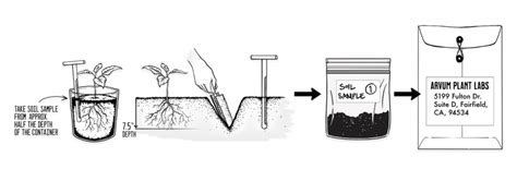 SAMPLE PROCEDURES: SOIL MEDIA - Arvum Plant Labs