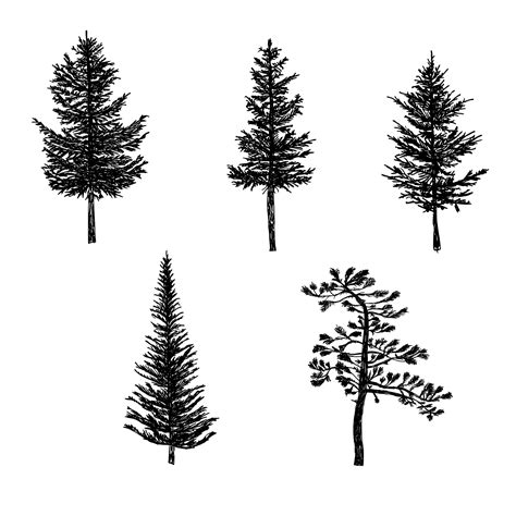 5 Pine Tree Silhouette Drawing (PNG Transparent) | OnlyGFX.com