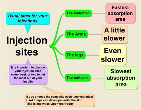 Insulin Injection Sites Diagram Printable - prntbl.concejomunicipaldechinu.gov.co