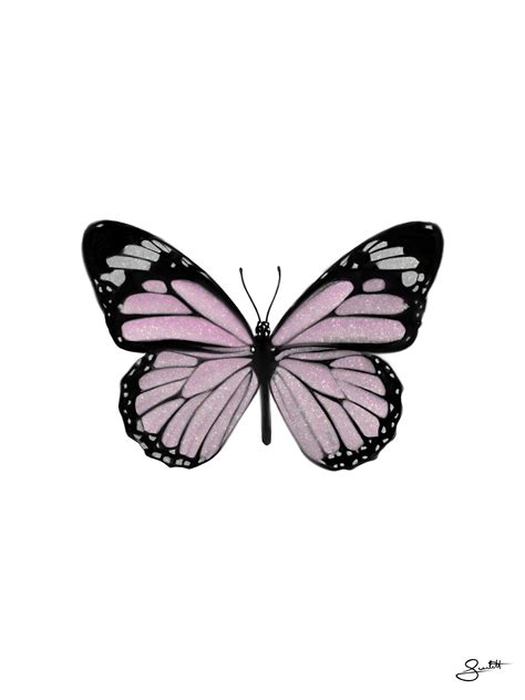 pink butterfly | Butterfly art print, Butterfly art, Teal butterfly