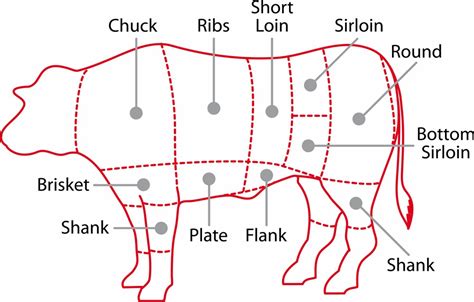 A Guide To Beef Cuts with Steak and Roast Names - THE EASY MEALS