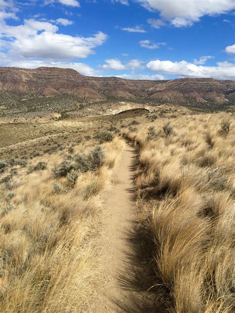 One of 5 short hiking trails in the Painted Hills near Mitchell, Eastern Oregon. This is about 1 ...