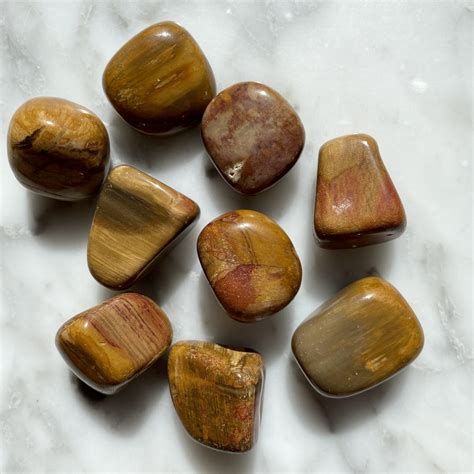 Petrified Wood Tumbled Pocket Stone - Minera Emporium Crystal & Mineral ...