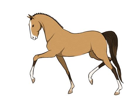 Beautiful Animated Horse Gifs at Best Animations