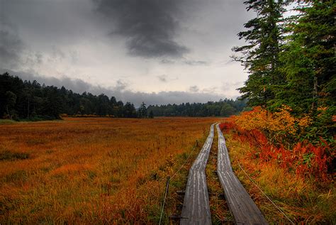 Mike's Blender - Great Escapes - Oze National Park - Hiking