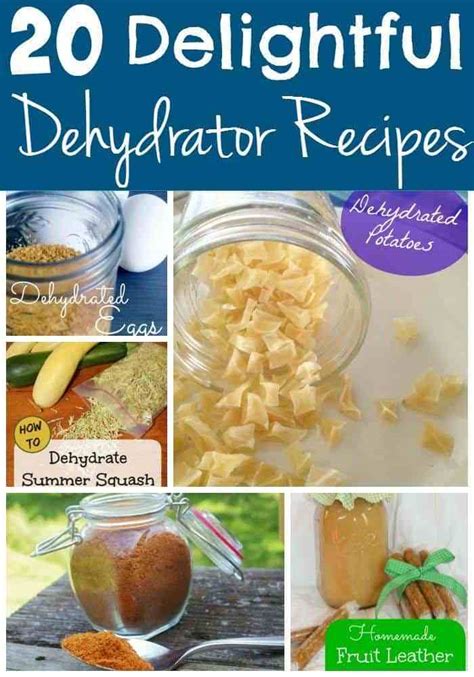 Delightful Dehydrator Recipes