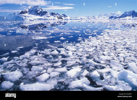 Antarctica Paradise Harbor Icebergs fill water in Gerlache Strait with mountains of Bryde Island ...