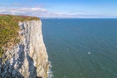 Bempton Cliffs walk - Bempton RSPB walk - puffins East Yorkshire