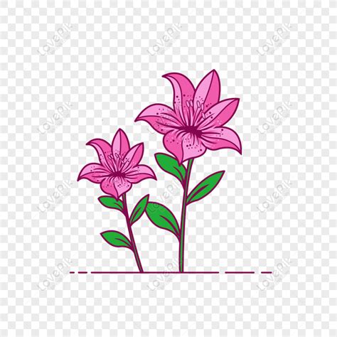 Free Cartoon Hand Drawn Lily Flower Vector, Cartoon Hand Drawn, Lily, Red PNG Hd Transparent ...