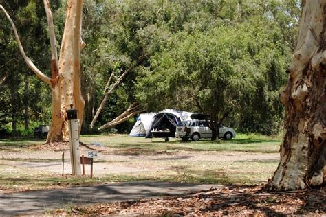 Image of Camping in the bush - Austockphoto