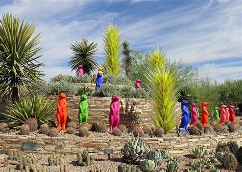 Phoenix Desert Botanical Garden: Summer Secrets | Wander With Wonder