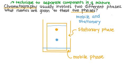 Question Video: Identify the Two Different Phases in Which ...