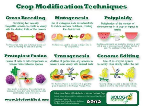 A very interesting infographic on plant breeding. . .... | Plant ...